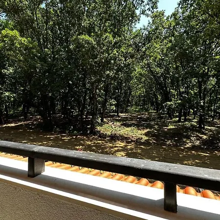 Apartament Paradise Complex *