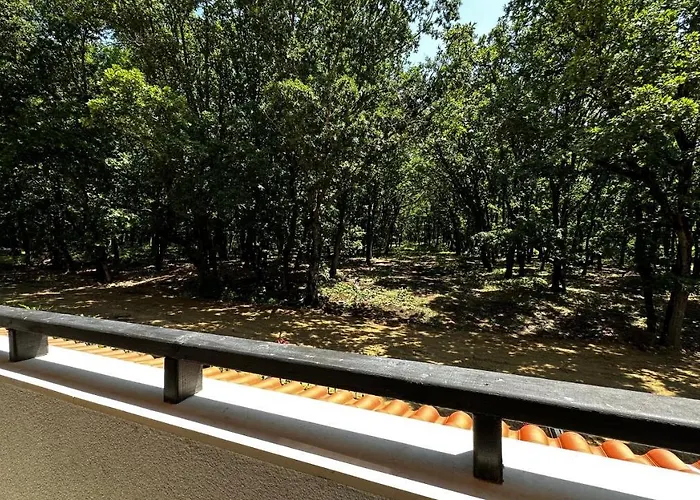 Daire Paradise Complex *