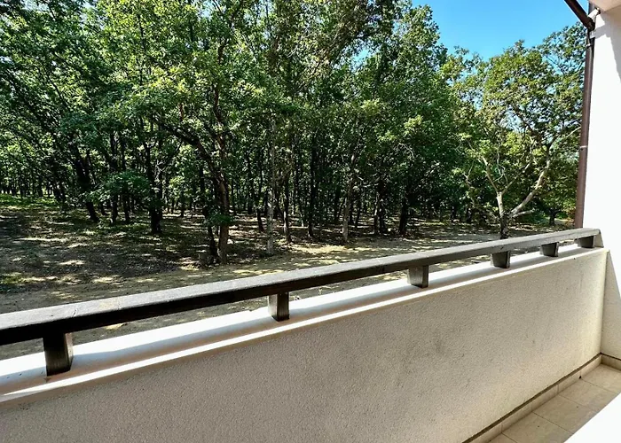 Daire Paradise Complex *